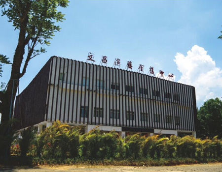 文昌市政府文化活動(dòng)中心